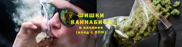 a pvp Белокуриха