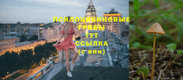 a pvp Белокуриха